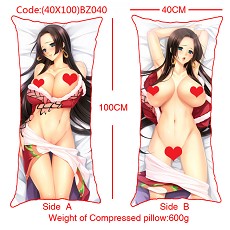 One piece double sides pillow(40X100CM)
