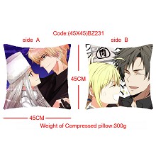 Fate stay night double sides pillow BZ231