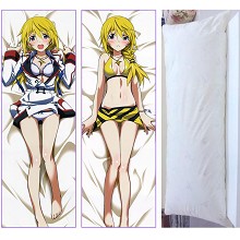 Infinite Stratos anime two-sided pillow