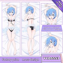 Re:Life in a different world from zero anime two-sided long pillow adult pillow