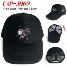 CAP-3069