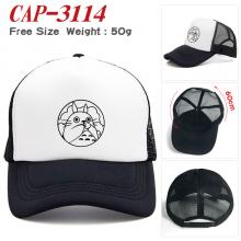 CAP-3114