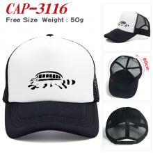 CAP-3116
