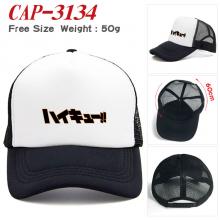 CAP-3134