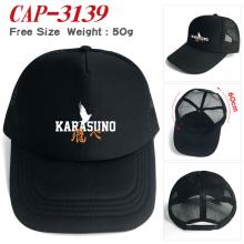 CAP-3139