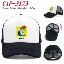 CAP-3173