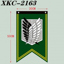 XKC-2163