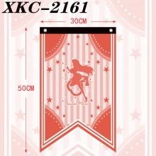 XKC-2161