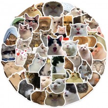 Cat and dog meme combo stickers 50pcs/bag