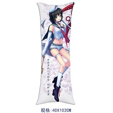 Touhou project pillow(40x102) 3118
