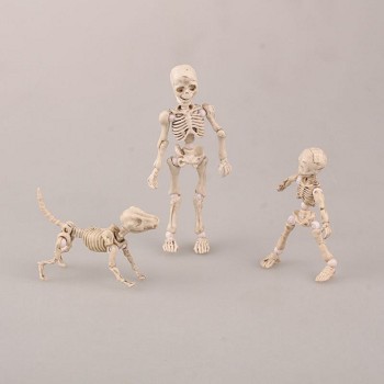 The Pose Skeleton skull figures a set