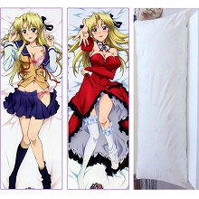 Campione anime two-sided pillow