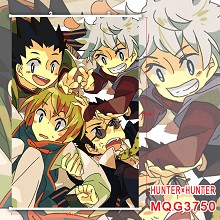 Hunter x Hunter anime wall scroll