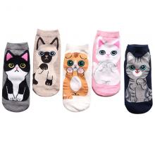 The cat anime cotton socks a pair