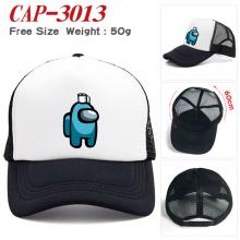 CAP-3013