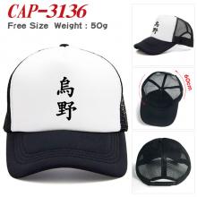 CAP-3136