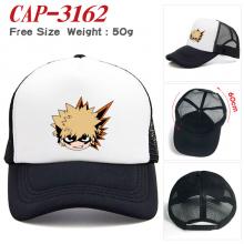 CAP-3162