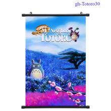 gh-Totoro30