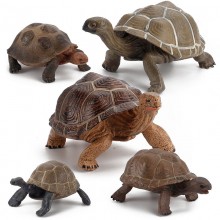 Tortoise figure model