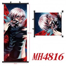 MH4816