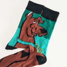 A Dog long socks a pair