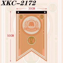 XKC-2172