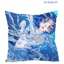 fzt-Sailor55