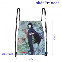 skd-Prince4