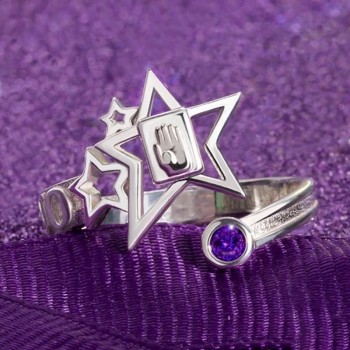 JoJo's Bizarre Adventure Kujo Jotaro anime rings