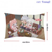 czt-Young2