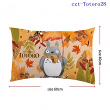 czt-Totoro28