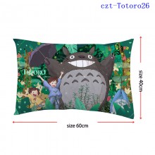 czt-Totoro26