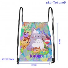 skd-Totoro9