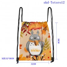 skd-Totoro12