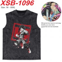 XSB-1096