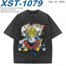 XST-1079