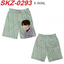 SKZ-0293