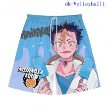 dk-Volleyball1