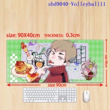 sbd9040-Volleyball11