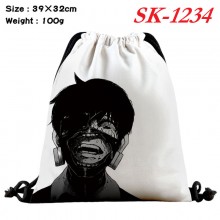 sk-1234