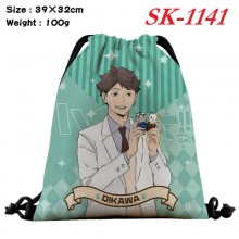 sk-1141