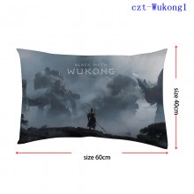 czt-Wukong1