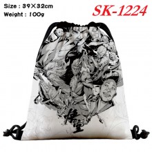 sk-1224