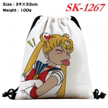 sk-1267