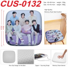 CUS-0132