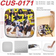 CUS-0171