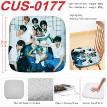 CUS-0177