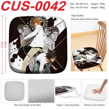 CUS-0042