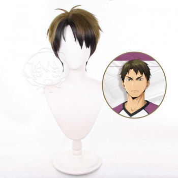 Haikyuu Ushijima Wakatoshi anime cosplay wig