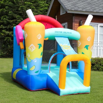 Doctor Dolphin Inflatable Castle Air Bounce Children High Quality Bounce Castle